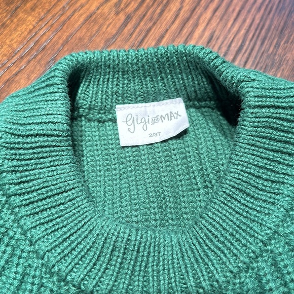 🆕 🌲 Gigi and Max ‘Forest’ Sweater in 2T/3T - Picture 4 of 4